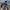 Helly Hansen Gorpcore Fleece Pria navy photo 8