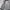 Helly Hansen Gorpcore Fleece Pria navy photo 5