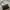 Guess Minimalist Crossbody Bag Wanita black photo 1