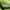 Nike Sportswear Casual shoe Pria green black photo 6