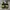 Nike Sportswear Casual shoe Pria green black photo 4