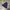 Beams Casual Hat Pria navy photo 1