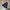 Beams Casual Hat Pria Navy