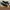 NEW BALANCE FRESH FOAM ROAV GREY BLACK photo 7