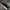 Adidas Sportswear Casual shoe Pria black photo 3