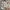 Guess Y2K Lolita Shoulder bag Wanita multicolor photo 3