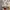 Guess Y2K Lolita Shoulder bag Wanita multicolor photo 7