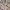 Guess Y2K Lolita Shoulder bag Wanita multicolor photo 4