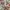 Guess Y2K Lolita Shoulder bag Wanita multicolor photo 2