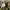 Burberry Luxury Trench coat Wanita tan cream photo 5