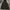 Dickies Gorpcore Windbreaker Pria navy photo 3