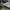 Salomon Gorpcore Casual Sneakers Pria tan gray photo 3