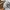 Burberry Luxury Casual Casual shirt Pria gray photo 5