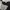 New Balance Casual Windbreaker Pria white black photo 5