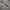 𝐀𝐛𝐞𝐫𝐜𝐫𝐨𝐦𝐛𝐢𝐞 sold photo 2