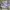 Adidas Casual Sneakers Pria gray photo 1
