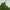 DKNY Vintage Y2K Cami top Wanita green cream photo 4