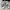 VANS Casual Sneakers Wanita white black photo 2