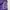 Crocodile Sportswear Casual Jersey Wanita purple photo 3
