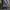 Luxury Parka Pria green photo 6