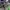 Luxury Parka Pria green photo 8