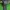 Luxury Parka Pria green photo 5