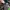 Luxury Parka Pria green photo 7