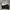 Nike Streetwear Sweatshirt Pria white black photo 1