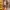 Brandy Melville Skater Casual Hoody Wanita Brown