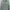 ZARA Minimalist Denim Jacket Pria Green