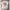 LANVIN Vintage Minimalist T-shirt Pria white photo 1