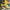 Adidas Casual Sneakers Pria Yellow