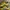 Adidas Casual Sneakers Pria yellow photo 1