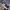 Adidas Sportswear Sneakers Pria White Blue