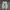 Adidas Sportswear Sneakers Pria white blue photo 4