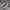 Nike Sportswear Casual Shoe Pria Gray