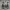 Nike Sportswear Casual shoe Pria gray photo 3