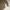 Y2K Casual Formal shirt Pria white tan photo 3