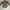Y2K Casual Formal shirt Pria white tan photo 1