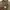 Y2K Casual Formal shirt Pria white tan photo 4