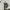 Burberry Luxury Casual Polo shirt Pria white photo 3