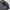 Crocodile Vintage Casual Windbreaker Pria white black photo 5