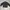 Crocodile Vintage Casual Windbreaker Pria White Black