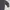 Crocodile Vintage Casual Windbreaker Pria white black photo 3