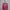 Nevada Casual Sweater Wanita Pink