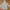 H&M Streetwear Casual Hoody Pria cream photo 4