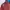 Umbro Sportswear Windbreaker Pria burgundy navy photo 5