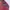 Umbro Sportswear Windbreaker Pria burgundy navy photo 4