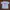 Casual T-shirt Wanita blue photo 1