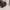 Furla Luxury Shoulder bag Wanita brown photo 1